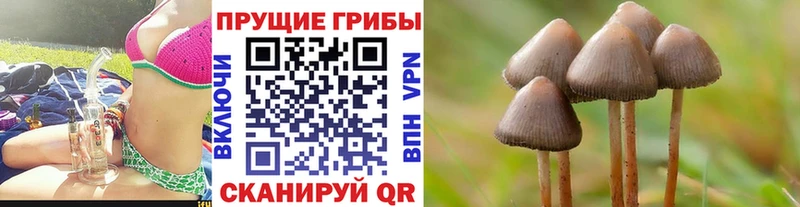 Псилоцибиновые грибы ЛСД  Купить  Плёс 